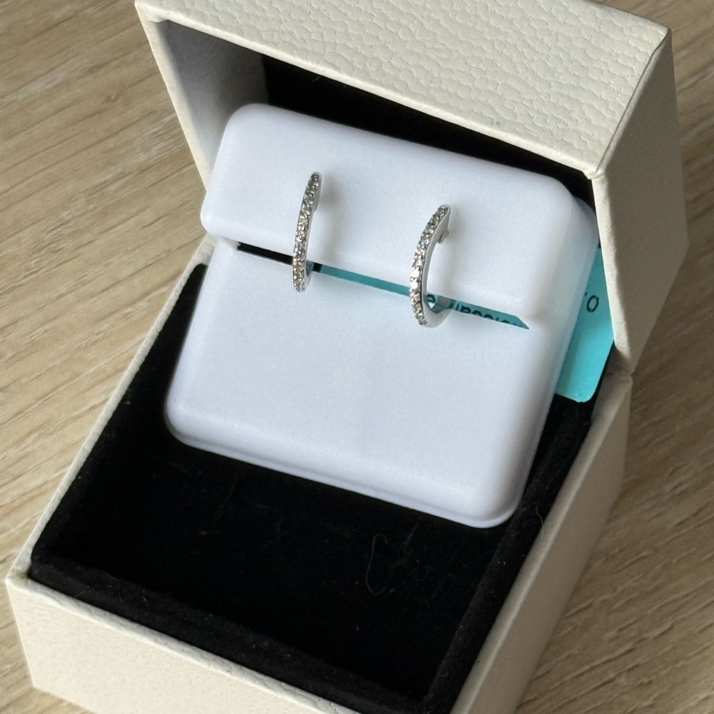 Sparkling Sterling Silver Hoop Moissanite Huggie Earrings